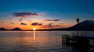 植物大战畺尸u53rdv